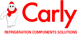 Logo CARLY